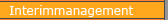 Interimmanagement